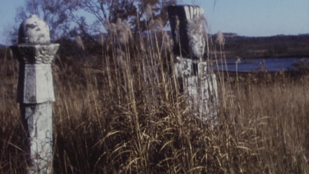 Umgebung von Panmunjom; Film: Kraniche, Helikopter, Herbst 1978
