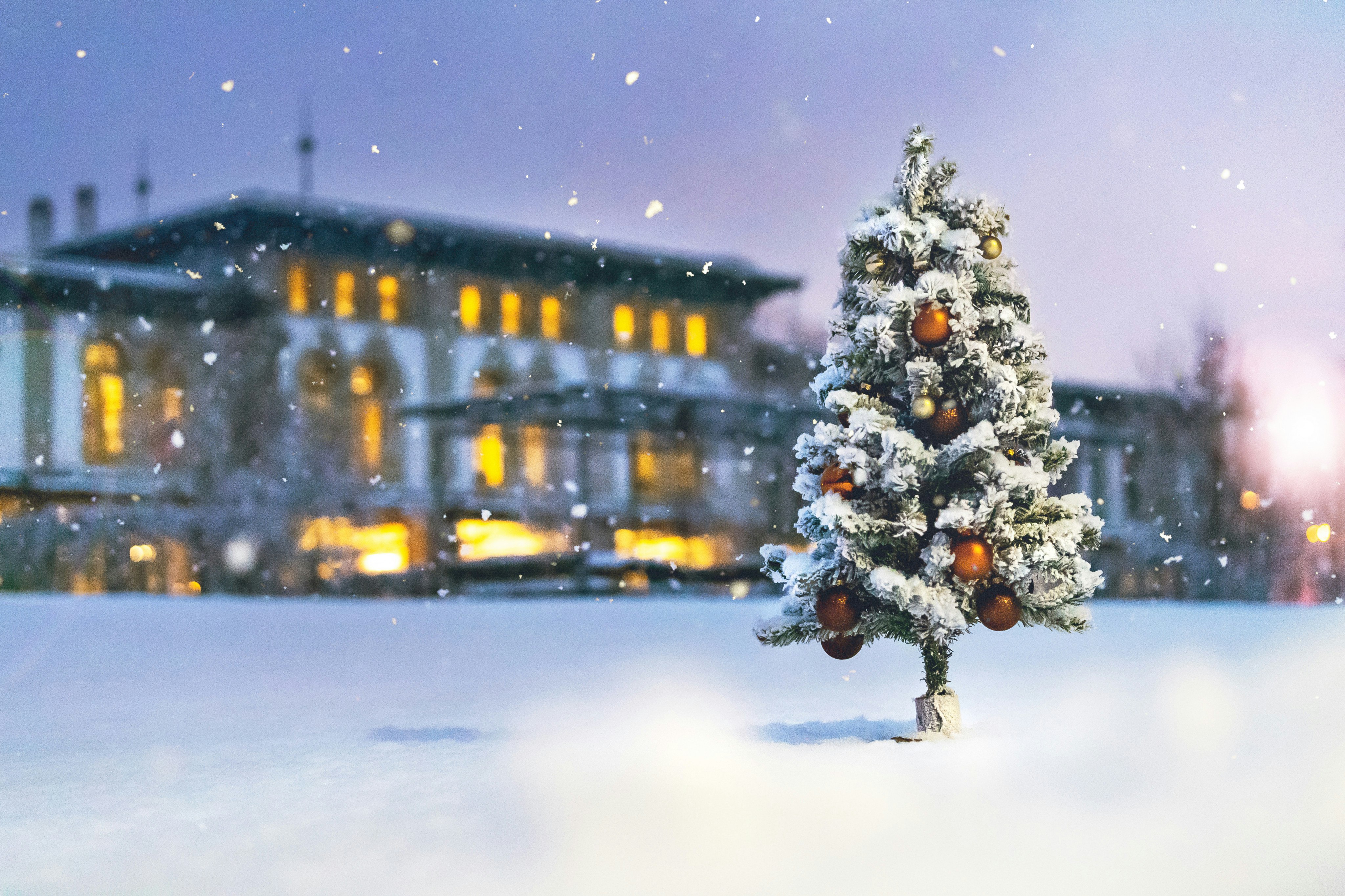 Die Bibliothek am Guisanplatz mit Schneeflocken und kleinem Tannenbaum im Vordergund