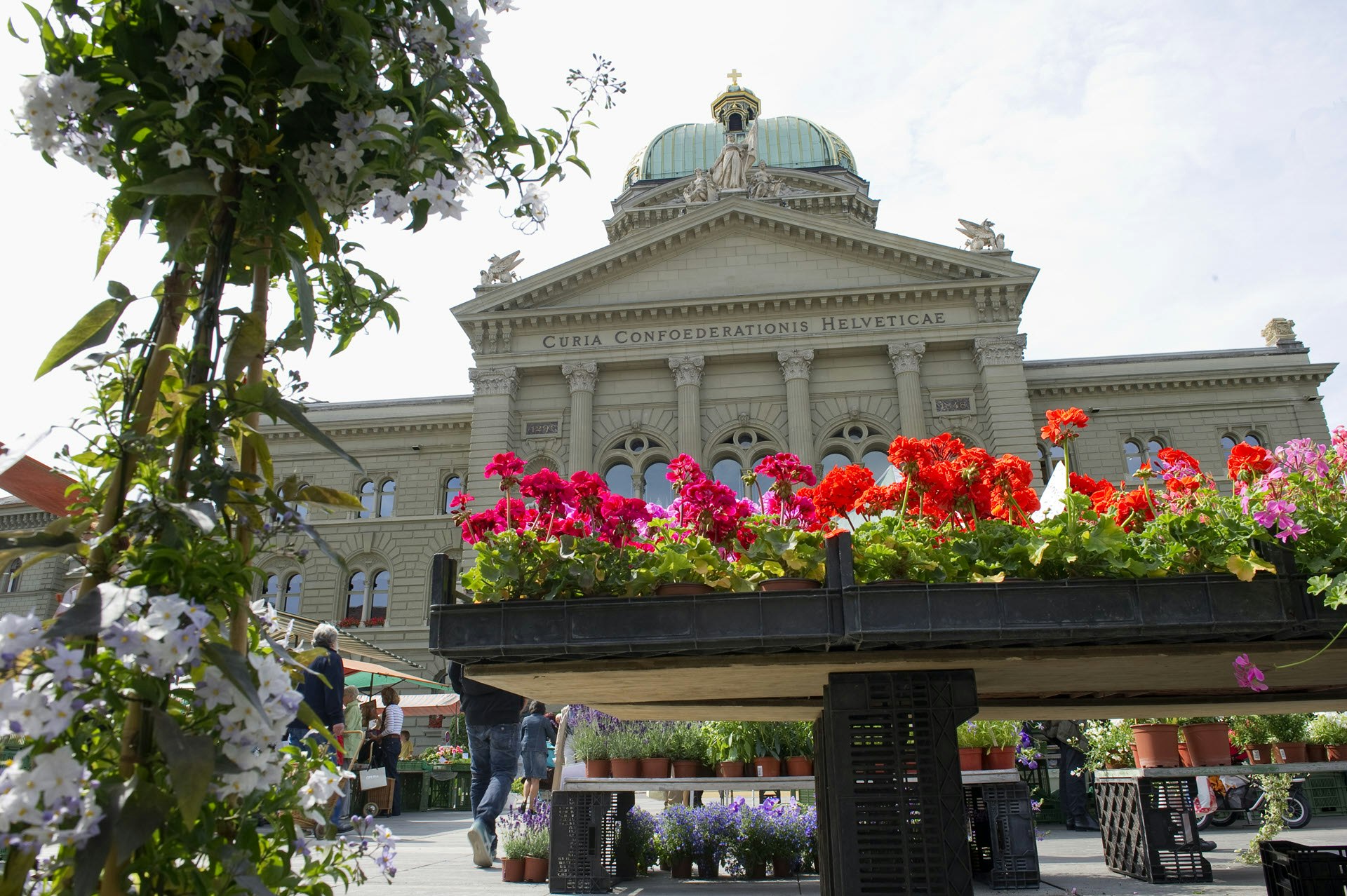 Markt mit Blumen auf dem Bundesplatz, 2011