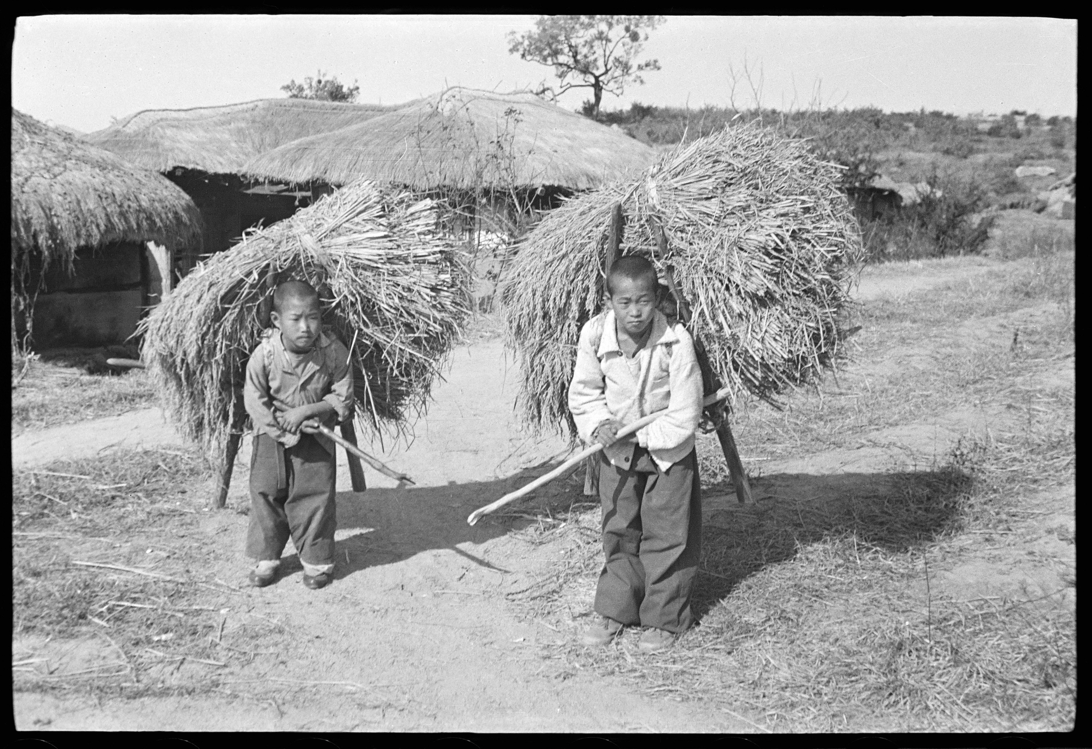 Album Heinrich Herter: Kinder in Korea, 1953