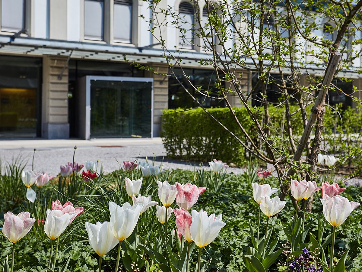 Auf dem Bild sieht man die Aussenansicht der BiG im Frühling.