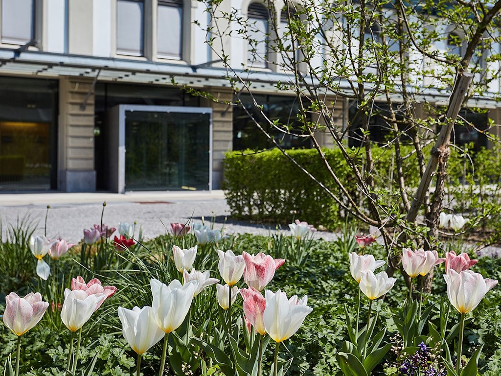 Auf dem Bild sieht man die Aussenansicht der BiG im Frühling. 