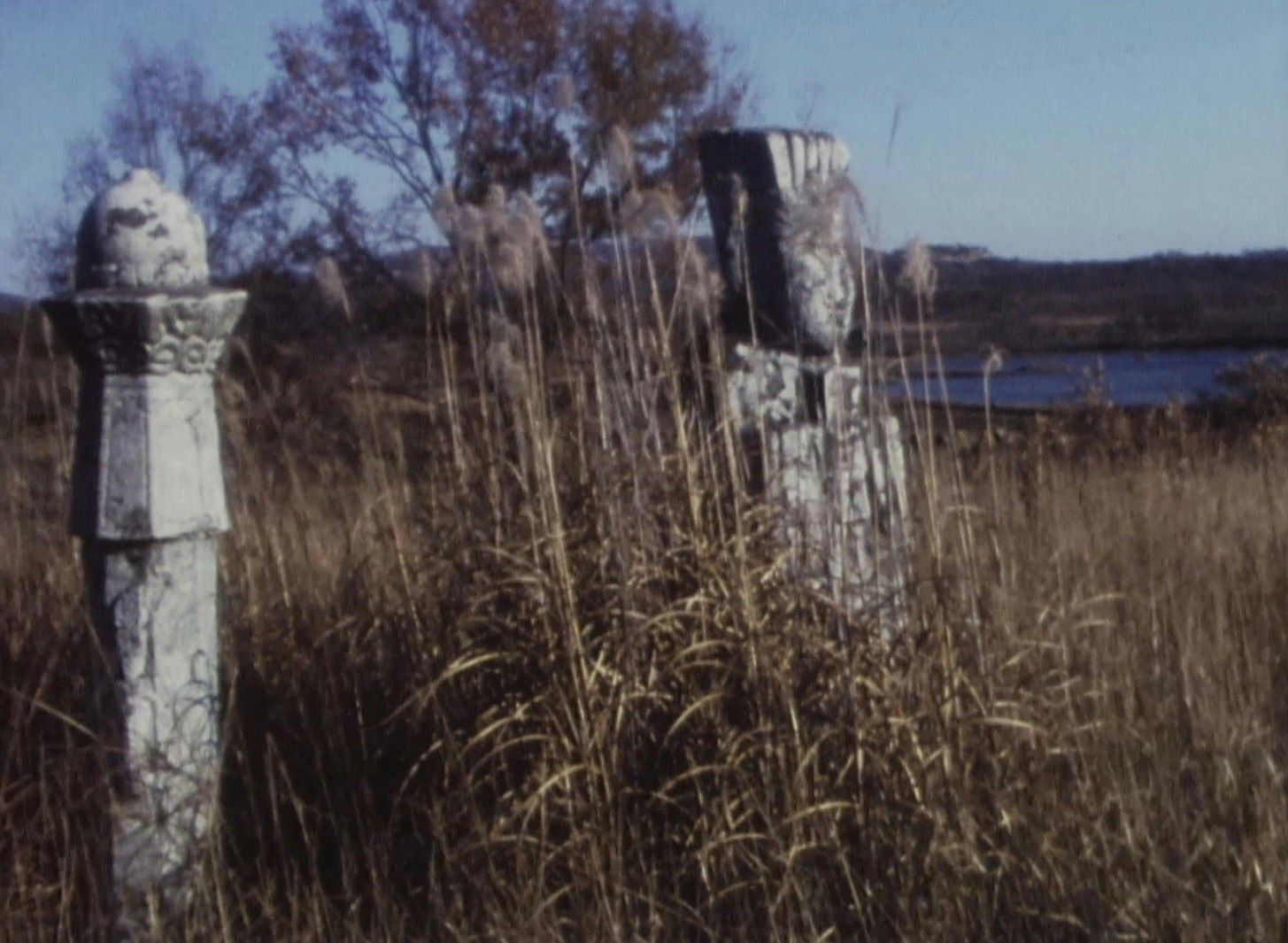 Umgebung von Panmunjom; Film: Kraniche, Helikopter, Herbst 1978