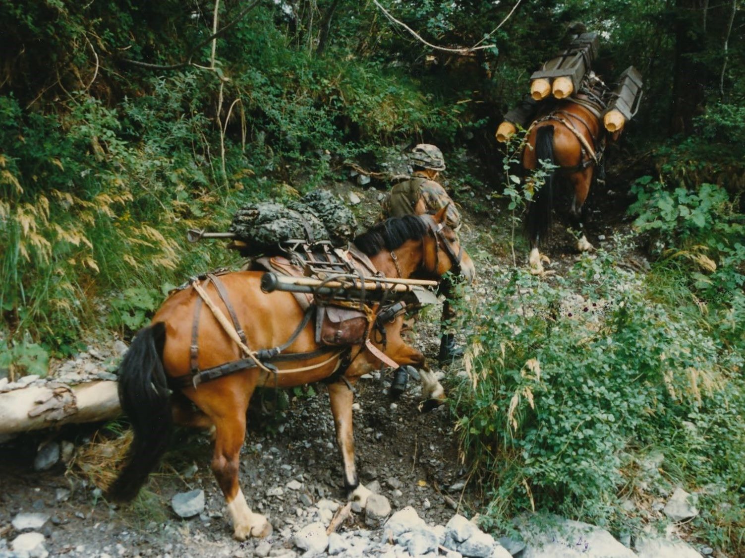 Auf dem Bild sieht man einen Train-Soldaten mit zwei Pferden.
