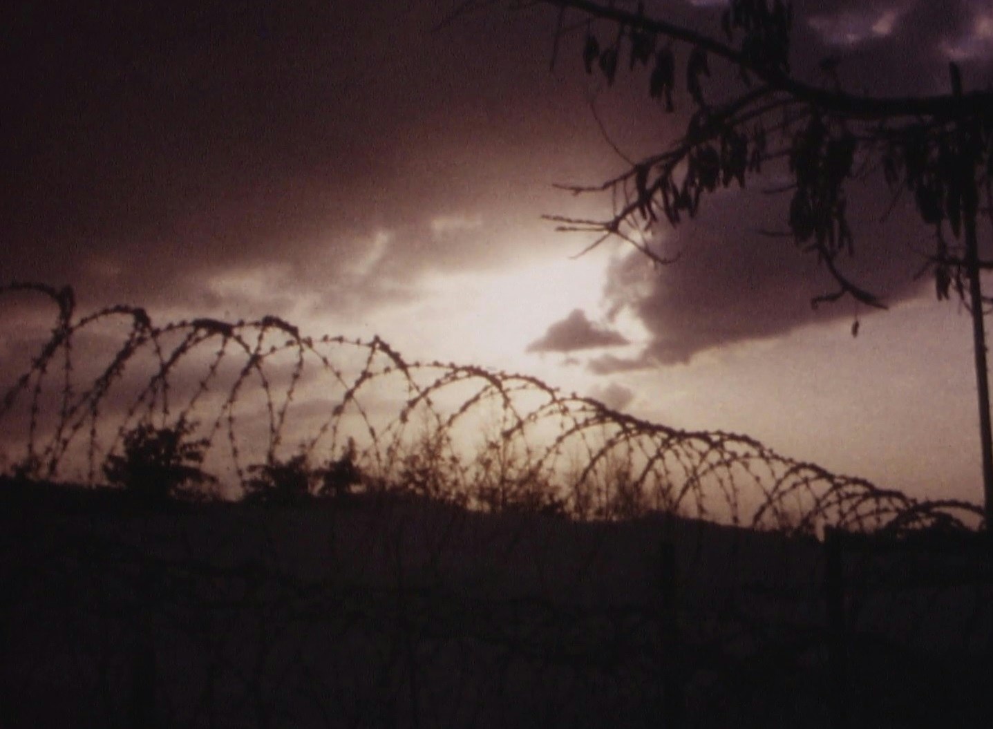 Stacheldraht; Film: Ein Tag im Swisscamp 1968