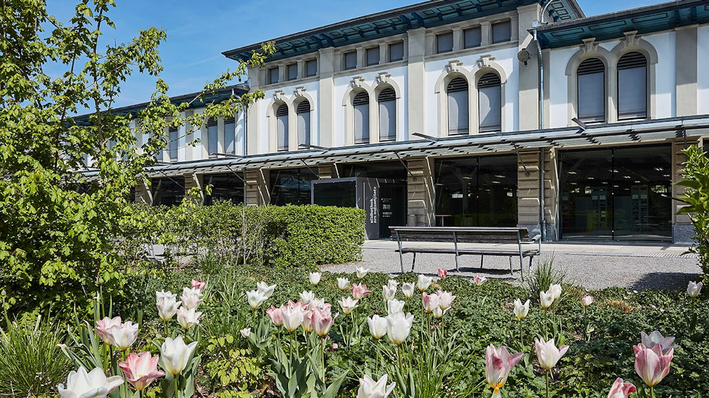 The picture shows BiG in spring with tulips in the foreground.