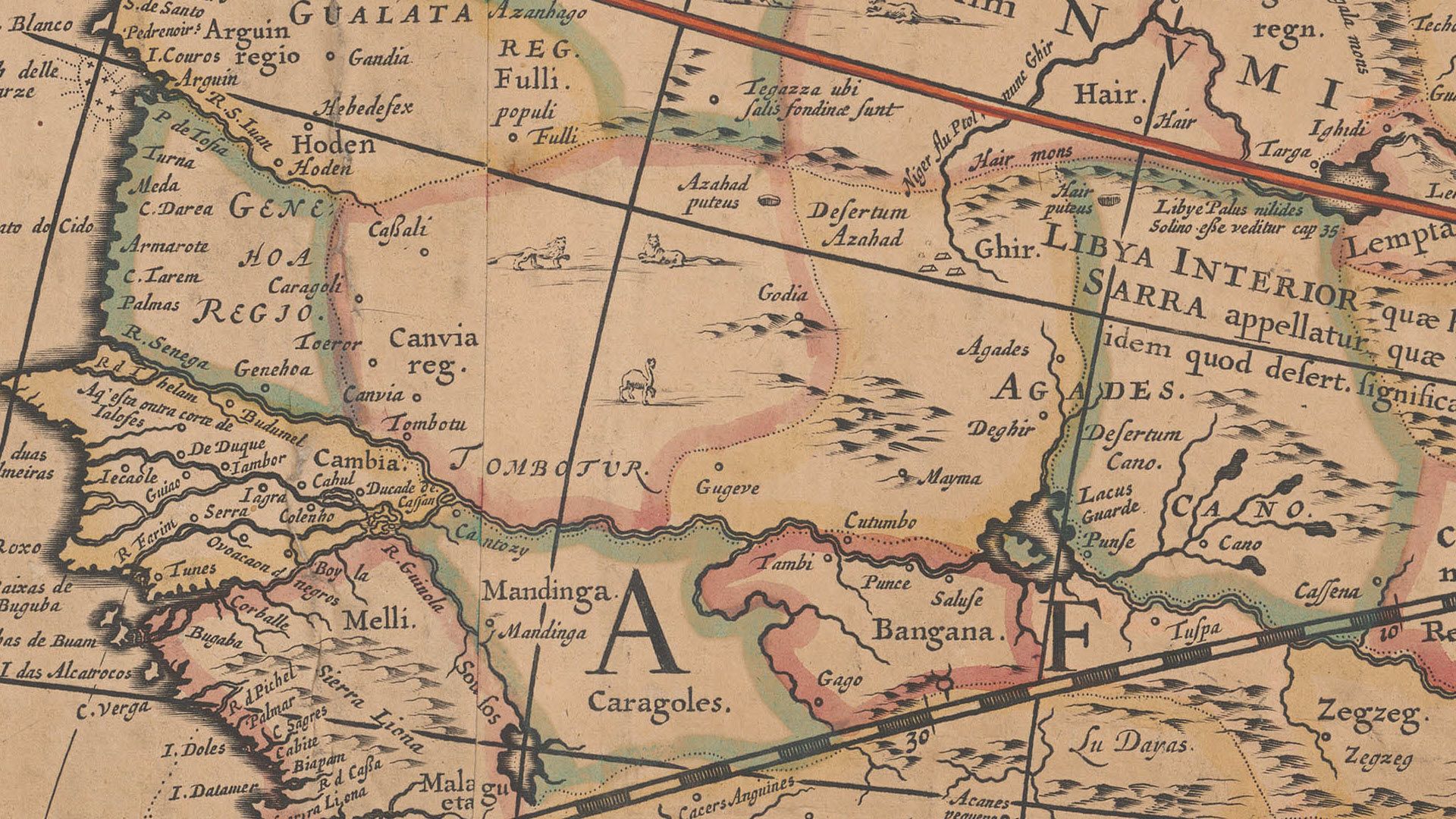 L’extrait de la carte, qui montre le nord-ouest de l’Afrique, est agrémenté d’animaux, de montagnes et de cours d’eau. Le fleuve représenté, qui prend son origine en Afrique centrale, n’a pas été découvert à ce jour. À l’époque, les producteurs de cartes ne voyaient aucune objection à compléter ainsi, à leur guise, les représentations de territoires encore peu connus.