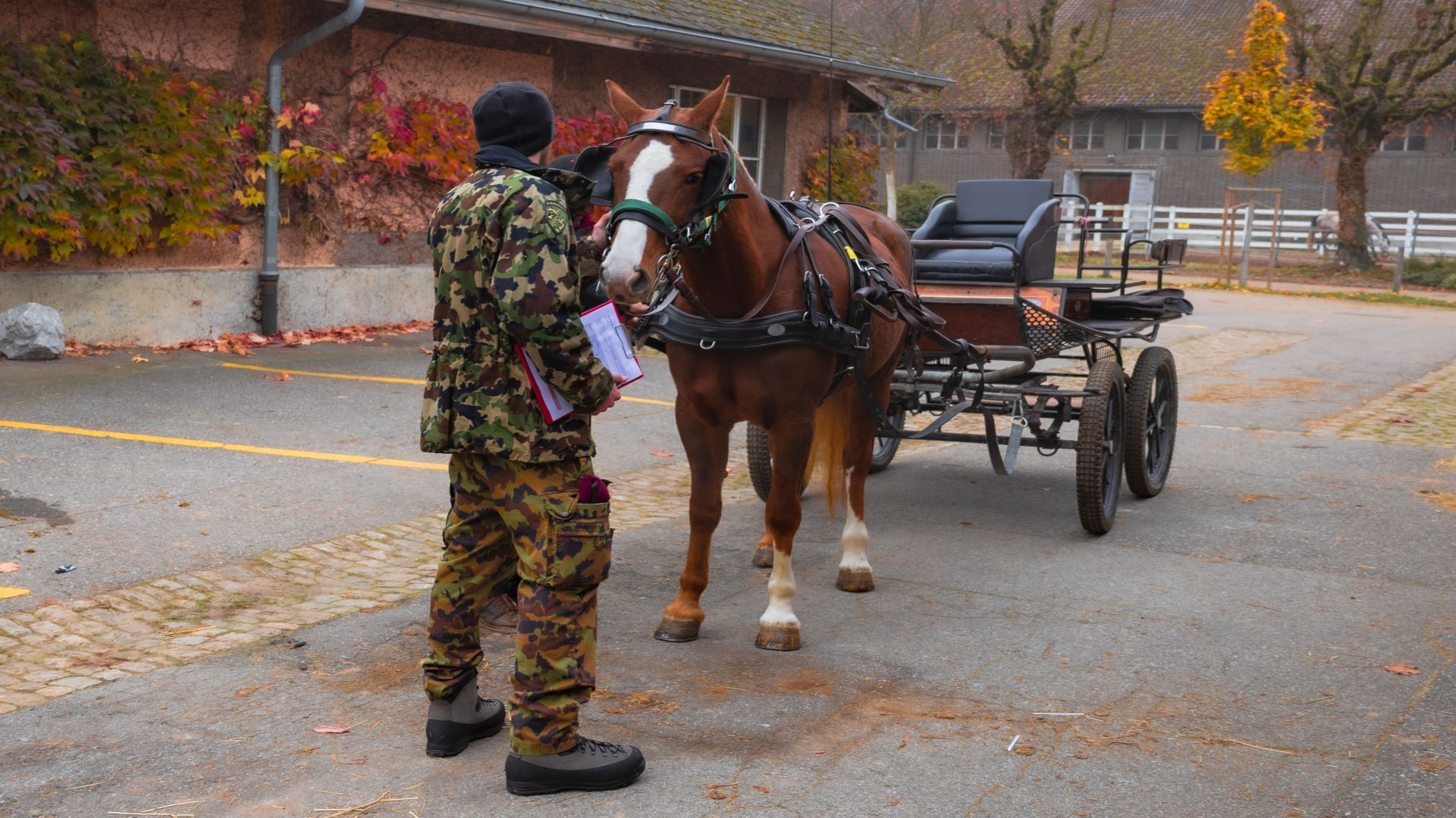 Sur cette photo, on voit un homme qui attelle son cheval.