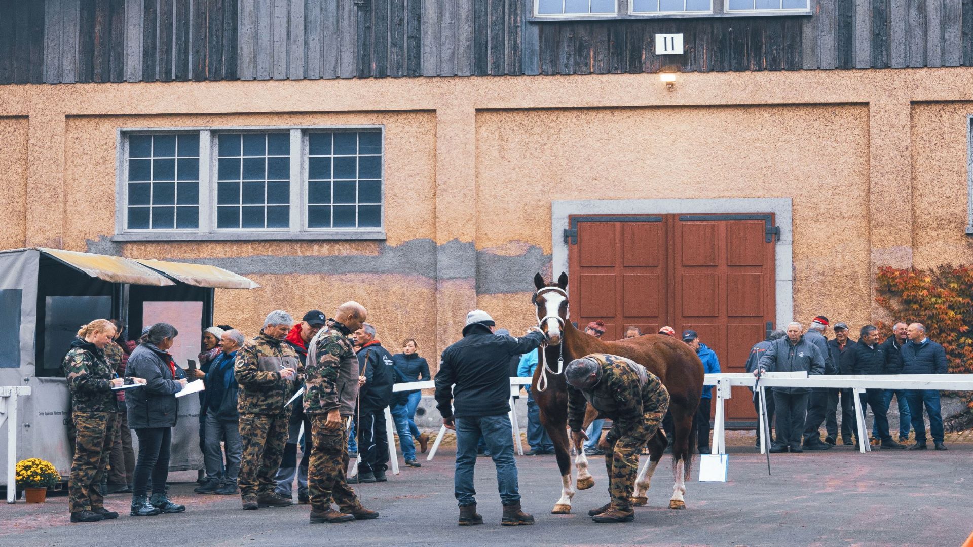 Qui vediamo il comitato d'acquisto, composto da diversi veterinari e dal capo maniscalchi dell’esercito